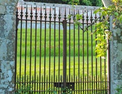Scottish walled garden tea